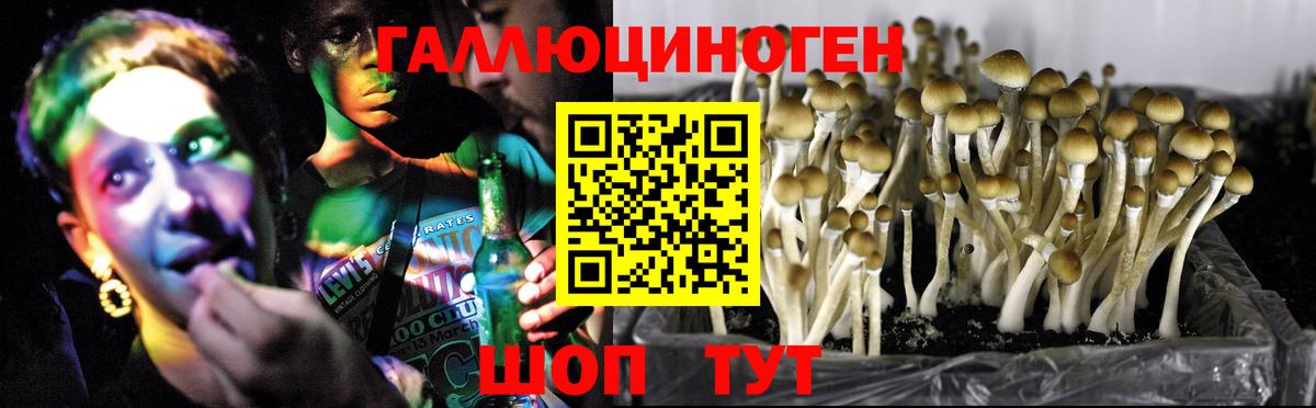 Псилоцибиновые грибы Psilocybe  Псилоцибиновые грибы ЛСД  Вход с VPN  Россия 